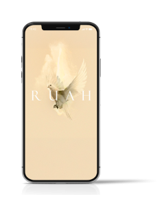 RUAH | VERSION ACOUSTIQUE - MP3 à télécharger