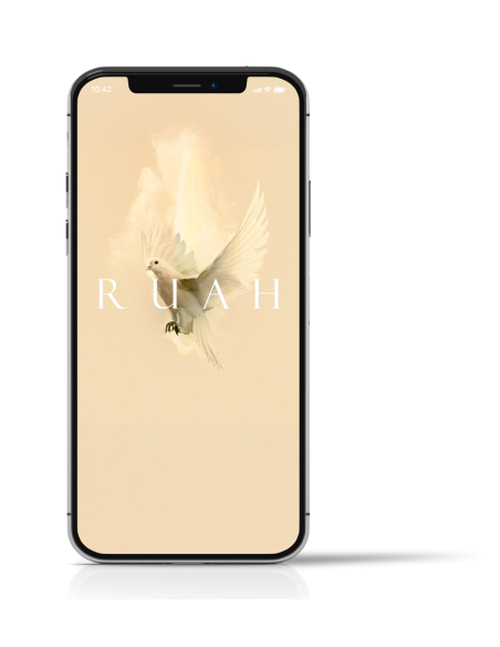 RUAH | VERSION ACOUSTIQUE - MP3 à télécharger