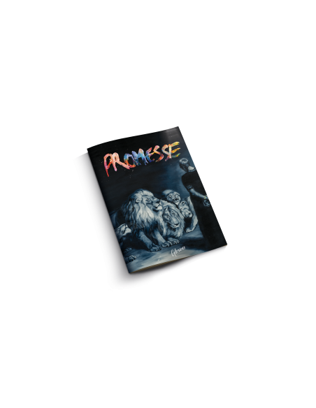 PROMESSE - Partitions PHYSIQUE